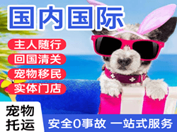大兴航空快运国际宠物托运 【国